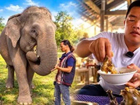 Vạch trần chiêu trò câu view của chủ kênh 'Già làng Tây Nguyên' và Hải Sapa TV