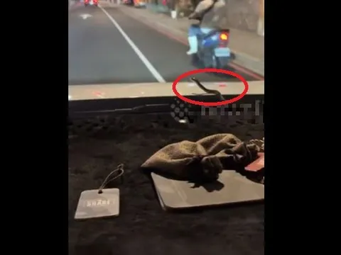 Đang lái xe, tài xế bất ngờ chứng kiến cảnh tượng "nổi da gà" trước mắt