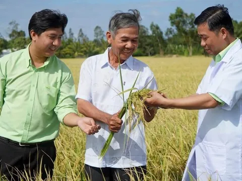 Hàng tồn kho của PAN vượt 4.300 tỷ đồng