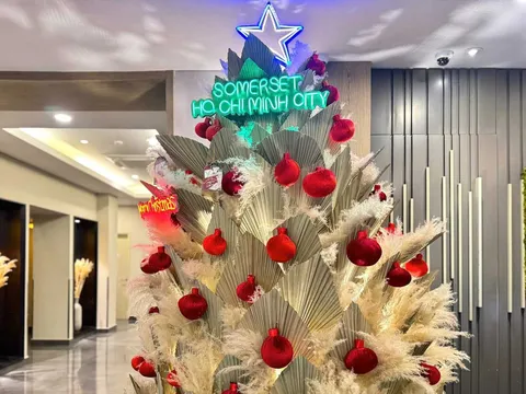 Ước nguyện cùng vì sao: Mùa lễ hội diệu kỳ và ấm áp như trở về nhà tại Somerset